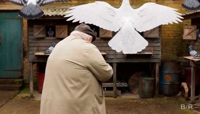 Still from Feathers Hold the Bird