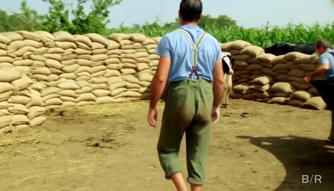 Still from The Burnt Field